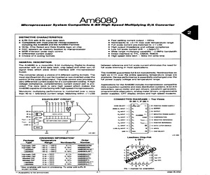 AM6080AXC.pdf