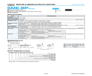 BSME100EC3102MK20S.pdf