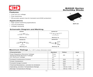 BAS40-04.pdf