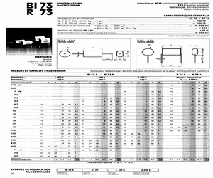 BI73A220202200.pdf