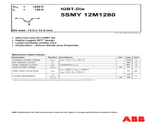 5SMY12M1280.pdf