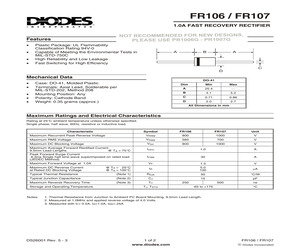 FR106-T.pdf