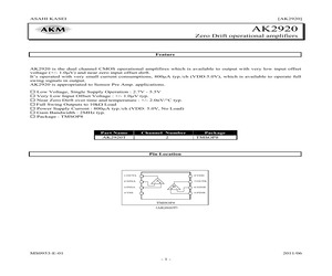 AK2920T.pdf