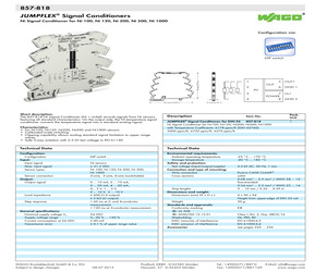 857-818.pdf