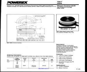 T8K7453503DH.pdf