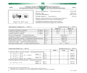 BSR14.pdf