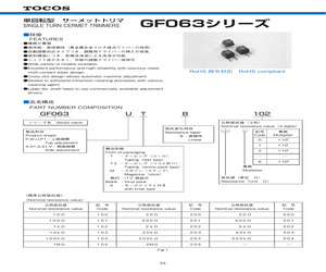 GF063VB500.pdf