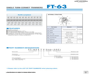 FT63EN100.pdf