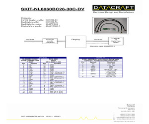 SKIT-NL8060BC26-30C-DV.pdf