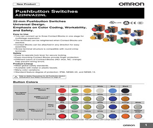 A22NL-RPM-TRA-G101-RB.pdf