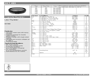 SKT493.pdf