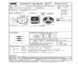 T60405-S6123-X315.pdf