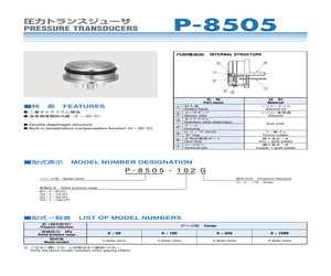 P-8505-102G.pdf