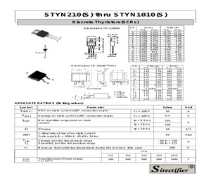 STYN1010.pdf