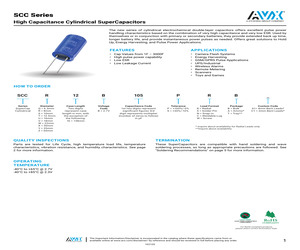 SCCT30B156SRB.pdf