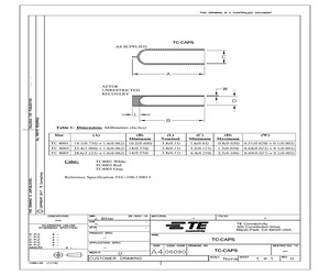 TC-CAPS-4003-2CS5056.pdf