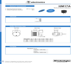 HM17A-106121LF.pdf