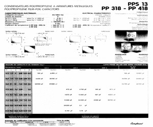 PP318154001063.pdf