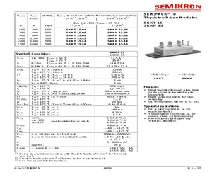 SKKH15/04.pdf