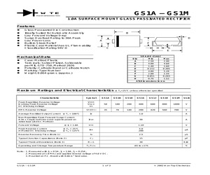 GS1M-T1.pdf
