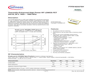 PTFB182557SHV1R250XTMA1.pdf