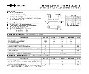 BAS19WS-T3.pdf