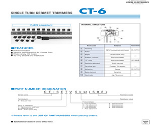 CT6EW500.pdf