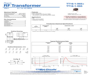 TT16-1-X65+.pdf