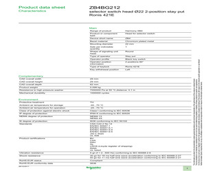 ZB4BG212.pdf