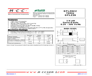 DFLZ24-TP.pdf