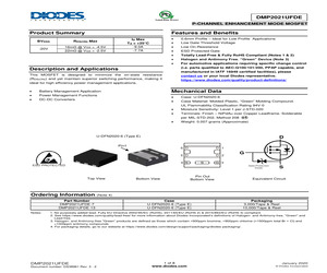 DMP2021UFDE-13.pdf