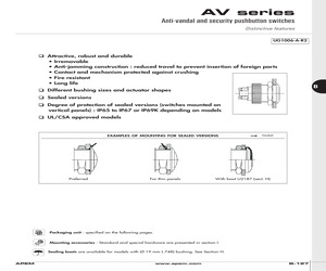 AV02100EA800K.pdf