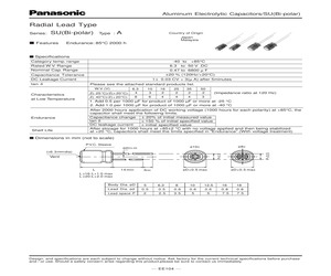 ECEA1HN100U.pdf