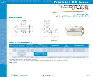 D2123GB75V12CTF.pdf