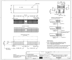 923823.pdf