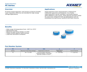 FE0H224ZF.pdf