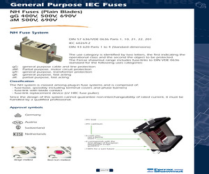 NH0GG50V100-1.pdf