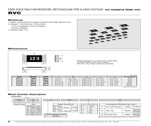 RVC16K1053FB.pdf