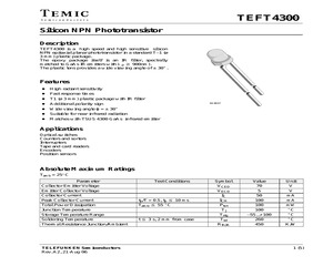 TEFT4300.pdf