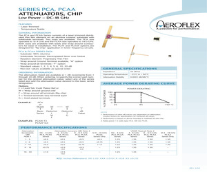 PCAAT-12.pdf