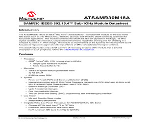 ATSAMR30M18A-I/RM100.pdf