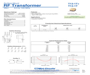 T13-1T+.pdf