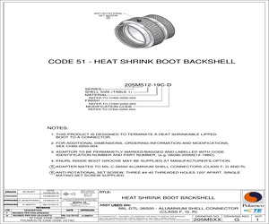 205M520-19C.pdf