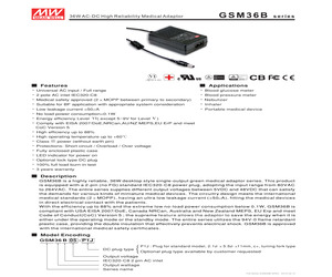 GSM36B18-P1J.pdf