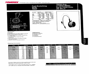 T82F017533DN.pdf