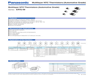 ERT-J1VK102GM.pdf