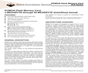 7P40FLV251I15.pdf