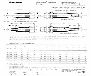 TCFS-36-19B-175-100CH (272383-000).pdf