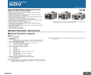 SDV-DM1 DC12.pdf