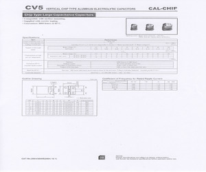 CV5-1H221MH10-R.pdf